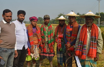 কুষ্টিয়ায় কৃষকদের নিয়ে জমিতেই গানের প্রতিযোগিতা
