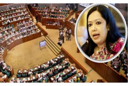 দেশে চালু হয়েছে আগে উন্নয়ন, পরে গণতন্ত্র : রুমিন ফারহানা



