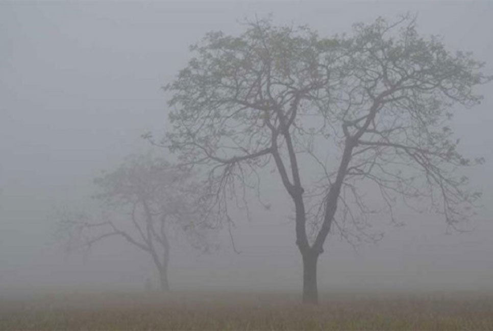কুয়াশা পড়ার আভাস