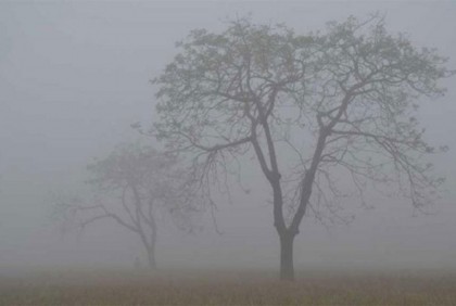 কুয়াশা পড়ার আভাস