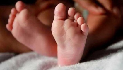 গলাচিপায় নবজাতকের লাশ উদ্ধার