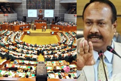 পাবলিক আমাদের আওয়ামী লীগের দালাল বলে, সংসদে জাপা মহাসচিব