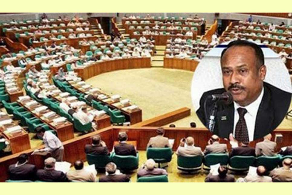 'ইউএনও, জেলা প্রশাসকরা নিরাপত্তা পান কিন্তু এমপিরা বেক্কলের মতো ঘোরেন'

