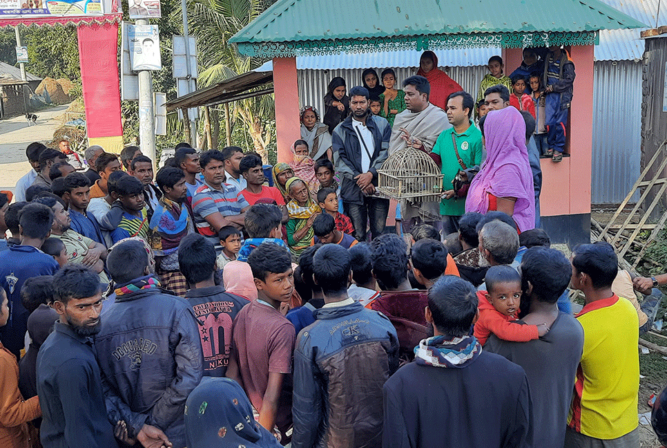 সিংড়ায় ৫টি পাখি অবমুক্ত, কারেন্ট জাল ধ্বংস  