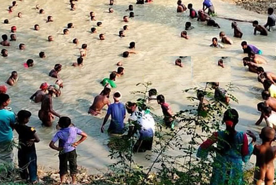 গুরুদাসপুরে ঐতিহ্যবাহী পলো বাওয়া উৎসব