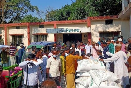 কালিয়াকৈরে বিনামূল্যে সার ও বীজ বিতরণ