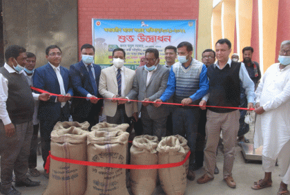 ফরিদপুরে আমন ধান সংগ্রহ অভিযান শুরু