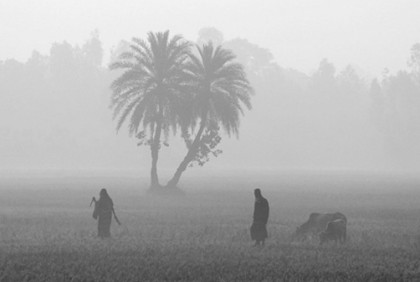 এ মাসের শেষ দিকে আসতে পারে শৈত্যপ্রবাহ 

