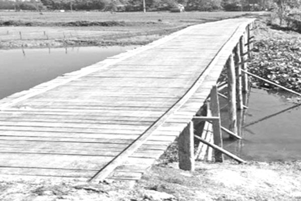 কাঠের সেতুতে সাত গ্রামের মানুষের পারাপার