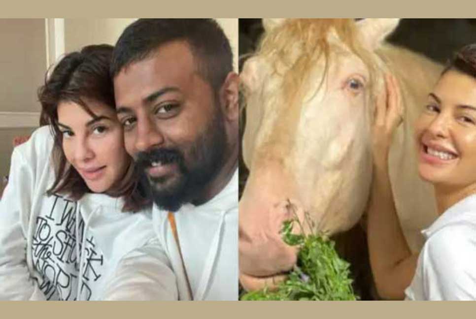 জ্যাকুলিনকে ৯ লাখ টাকার বিড়াল, ৫২ লাখের ঘোড়া উপহার দেন সুকেশ

