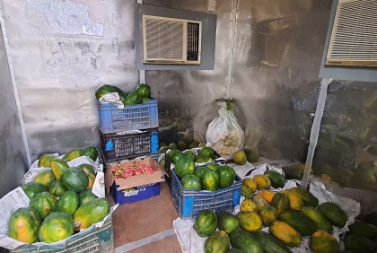 বান্দরবানে চালু হলো সৌর চালিত মিনি হিমাগার