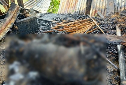 কিশোরগঞ্জে আগুনে পুড়ে অঙ্গার কৃষকের চার গরু
