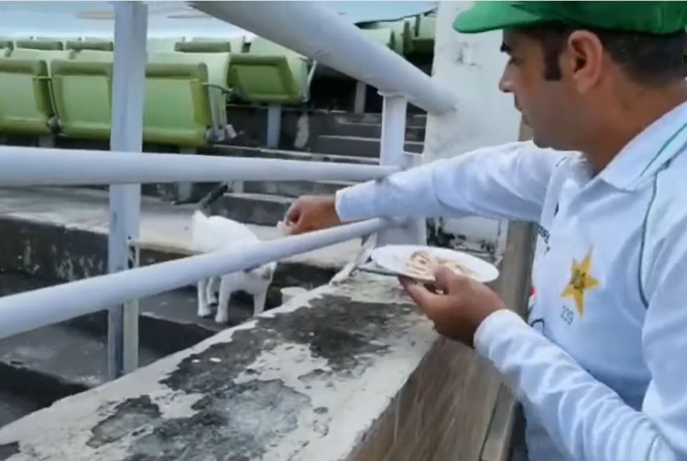 শেরে বাংলার বিড়ালকে বন্ধু বানালেন পাকিস্তানি ওপেনার!

