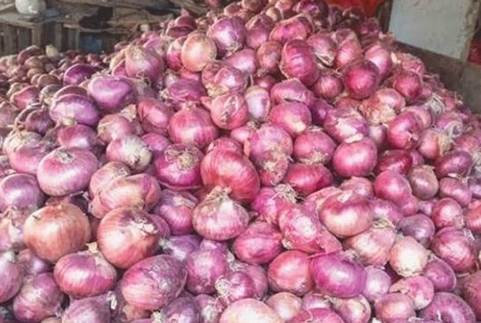 নাটোরে কমেছে পেঁয়াজের দাম