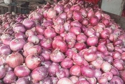 নাটোরে কমেছে পেঁয়াজের দাম
