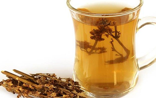 চিরতার উপকারিতা ও গুণাগুণ