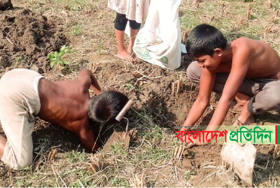 ইঁদুরের গর্তেই লুকিয়ে আছে তাদের স্বপ্ন  