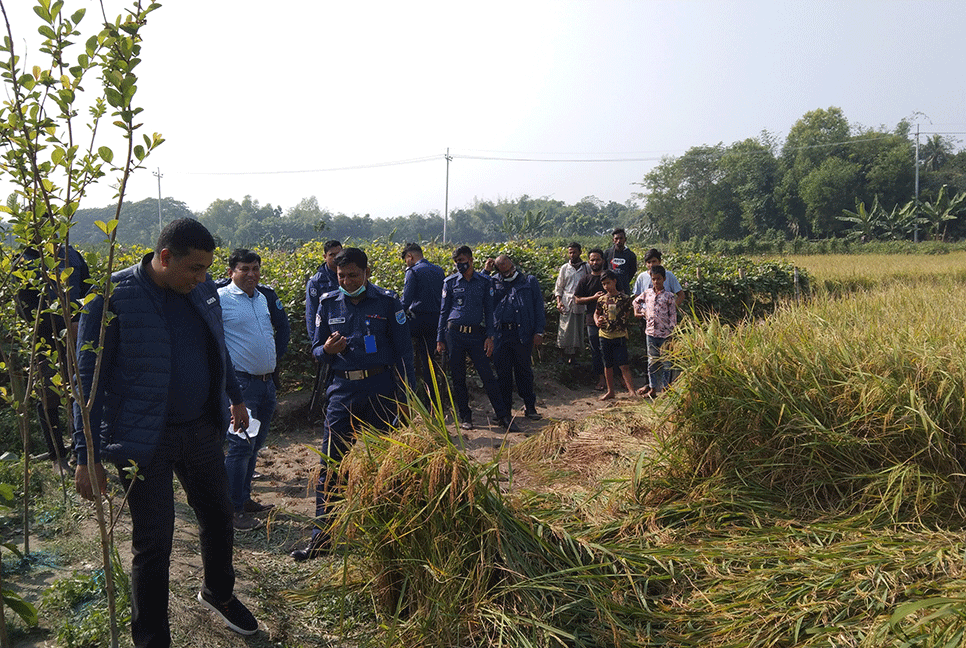 রায়পুরায় ধান ক্ষেত থেকে গৃহবধূর লাশ উদ্ধার