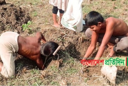 ইঁদুরের গর্তেই লুকিয়ে আছে তাদের স্বপ্ন  