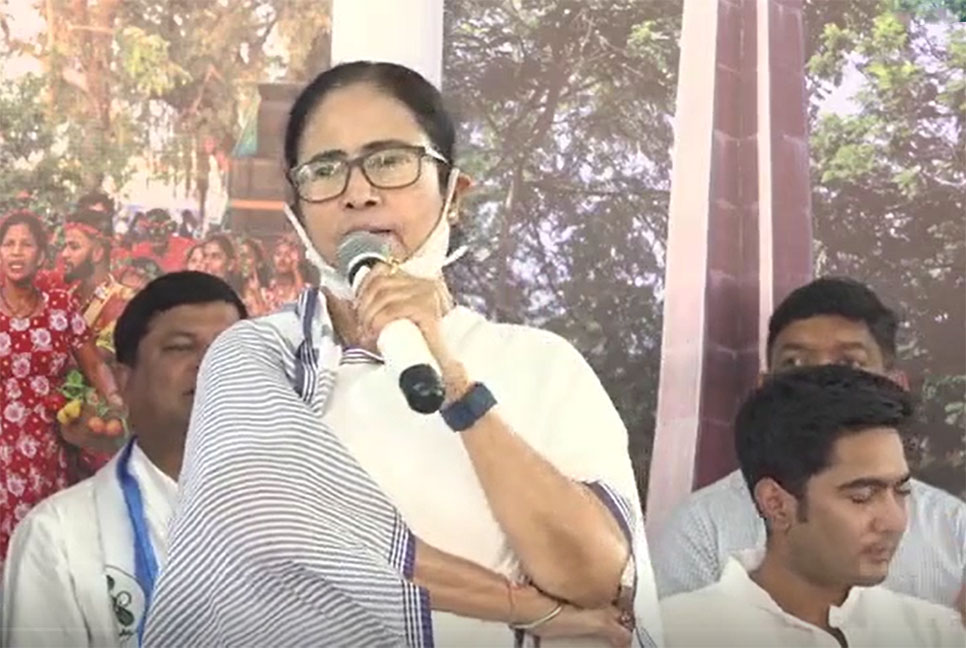 গোয়ায় ভোট ভাগ নয়, বিজেপিকে রুখতে এসেছি: মমতা