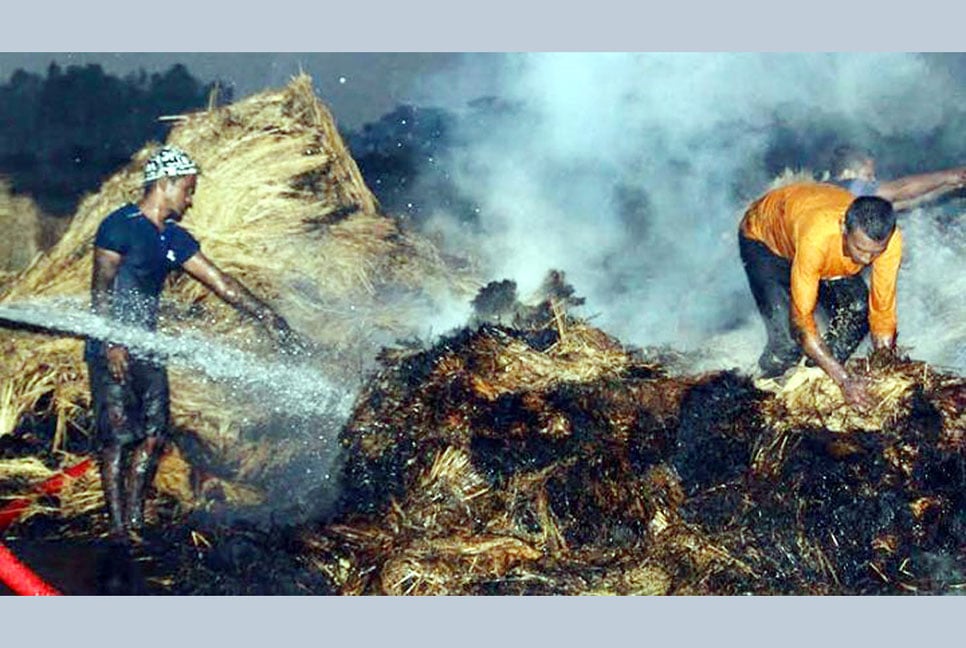 আগুনে পুড়ে ছাই ১২ বিঘা জমির সুগন্ধি ধান