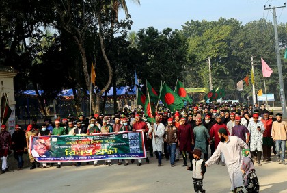 নানা আয়োজনে মাভাবিপ্রবিতে বিজয় দিবস পালিত