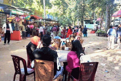 শ্রীমঙ্গলে পর্যটকের ভিড়