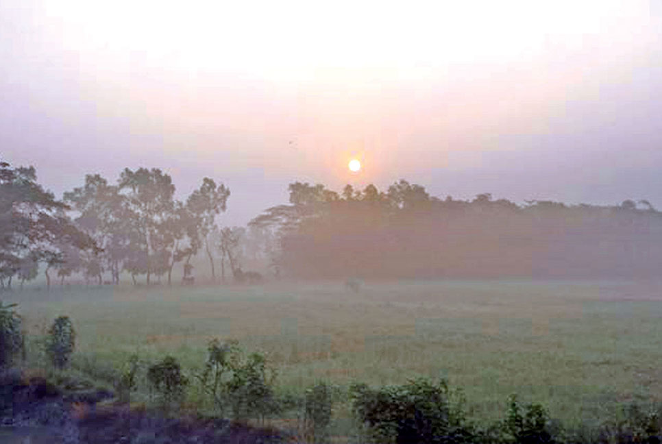 রংপুরে পৌষের আকাশে শরতের সূর্য!