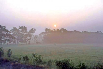 রংপুরে পৌষের আকাশে শরতের সূর্য!