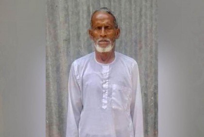 মৌমাছির কামড়ে বৃদ্ধের মৃত্যু, আহত ৩