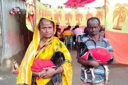নিঃসন্তান দম্পতির ব্যতিক্রমধর্মী ছাগলের খতনা অনুষ্ঠানে ৩০০ অতিথি!  