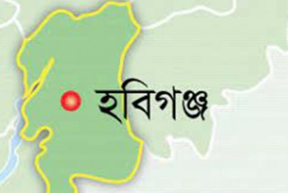 হবিগঞ্জে অস্ত্র ও গোলাবারুদের সন্ধান