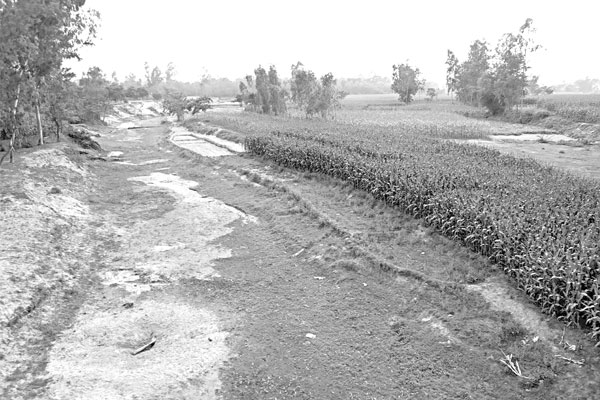খরস্রোতা শাখা যমুনা এখন সমতলভূমি