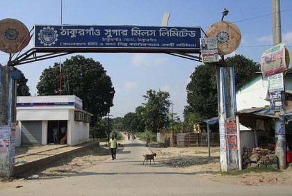 ঋণের বোঝা মাথায় নিয়ে ঠাকুরগাঁও সুগার মিলে আখ মাড়াই শুরু 