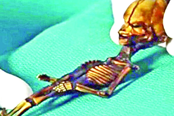 ছয় ইঞ্চি কঙ্কালের রহস্যভেদ
