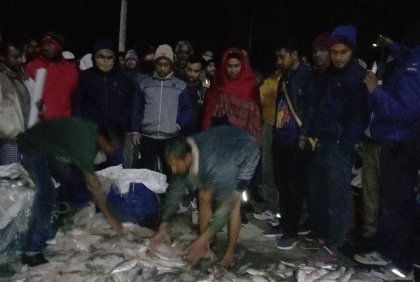 বরগুনায় ১৮ মণ জাটকা জব্দ