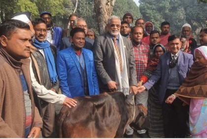 ধুনটে ক্ষুদ্র নৃগোষ্ঠীদের মাঝে গরু বিতরণ 