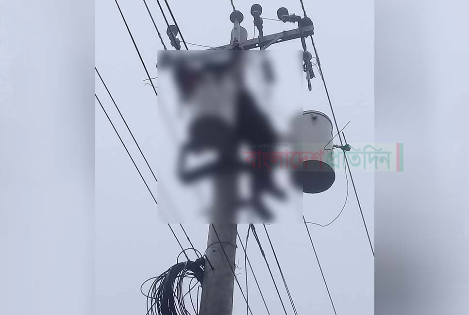 বিদ্যুতের ট্রান্সফরমার চুরি করতে গিয়ে দুই যুবকের মৃত্যু