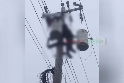 বিদ্যুতের ট্রান্সফরমার চুরি করতে গিয়ে দুই যুবকের মৃত্যু