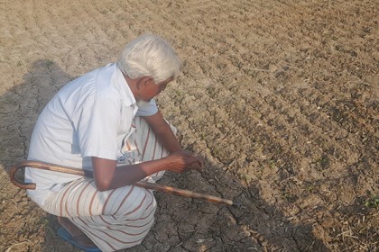 মুক্তিযোদ্ধার জমির পেঁয়াজের চারা ওষুধ দিয়ে নষ্ট করার অভিযোগ