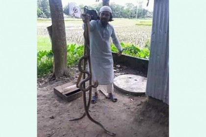 নির্বাচিত হলে ফ্রিতে সাপ ধরে দেয়ার আশ্বাস মেম্বার প্রার্থীর