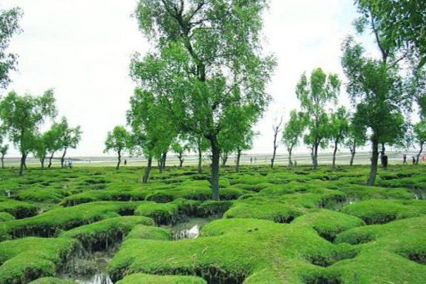 চট্টগ্রামের গুলিয়াখালী সৈকতকে সংরক্ষিত পর্যটন স্পট ঘোষণা