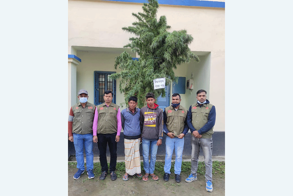গাঁজার গাছ ও অস্ত্রসহ বাবা-ছেলে আটক 