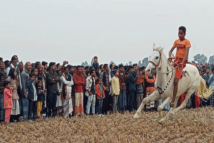শেরপুরে ঘোড়দৌড় প্রতিযোগিতা
