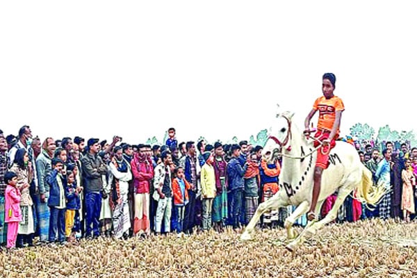 শেরপুরের নকলায় ঘোড়দৌড়