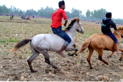 বগুড়ায় ঘোড় দৌড় প্রতিযোগিতা