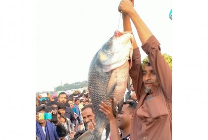 গাজীপুরে মাছের মেলায় জামাই-শ্বশুরের প্রতিযোগিতা