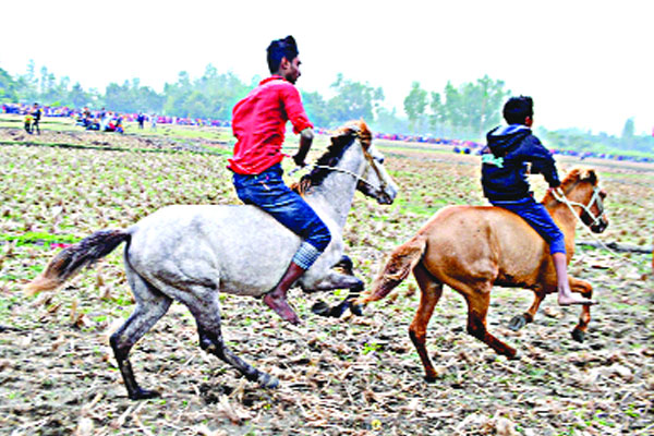 বগুড়ায় ঘোড়দৌড়