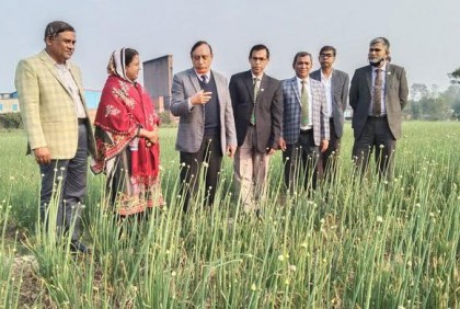 ফরিদপুরে পিয়াজ বীজের মাঠ পরিদর্শন