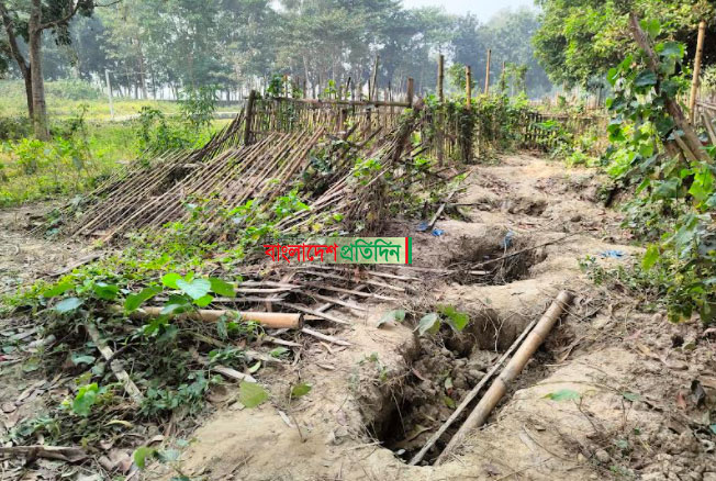 কবর থেকে ১৬ কঙ্কাল চুরি!